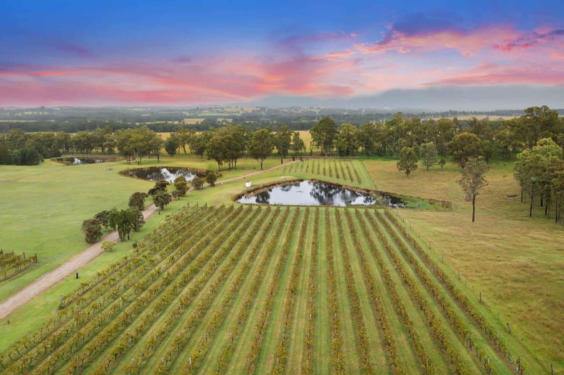 Bracken Ridge Vineyard The Entire Estate Rothbury Exteriér fotografie