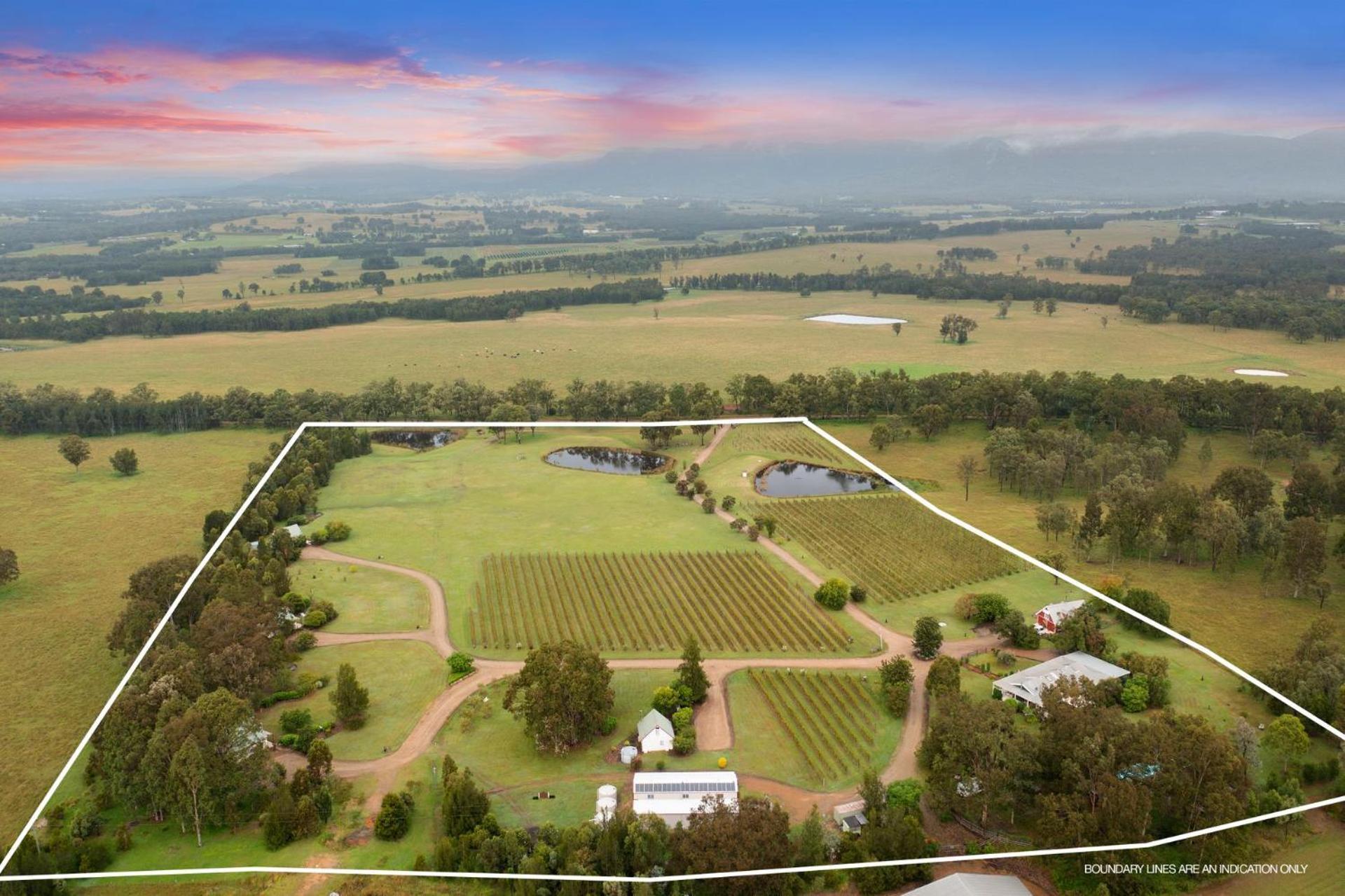Bracken Ridge Vineyard The Entire Estate Rothbury Exteriér fotografie