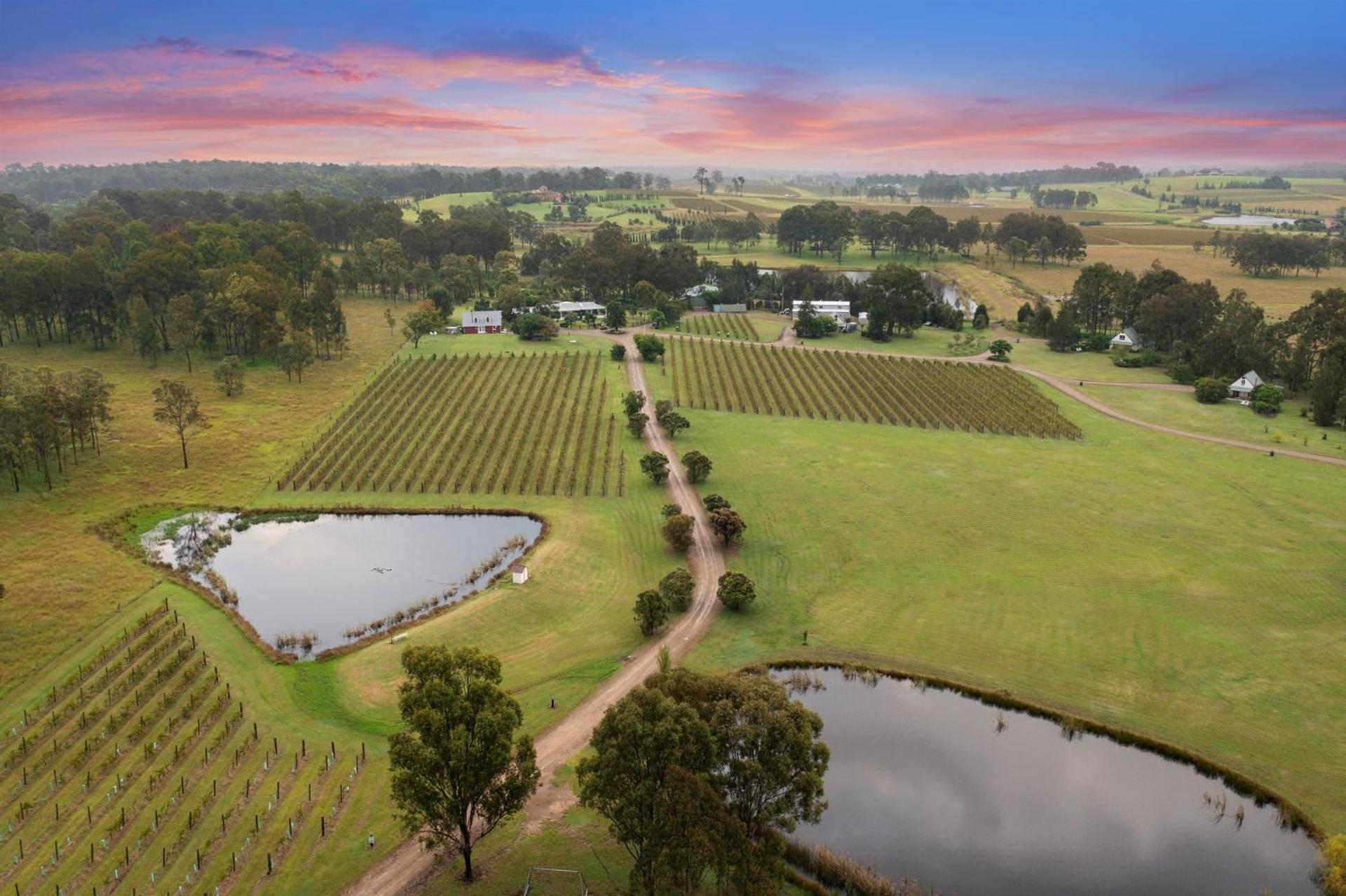 Bracken Ridge Vineyard The Entire Estate Rothbury Exteriér fotografie