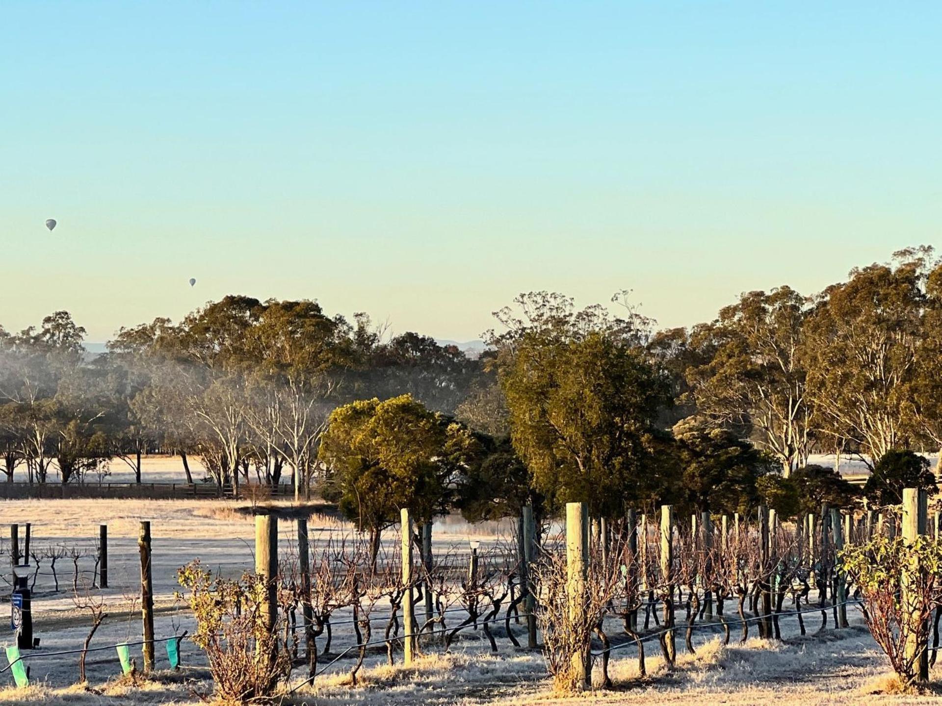 Bracken Ridge Vineyard The Entire Estate Rothbury Exteriér fotografie